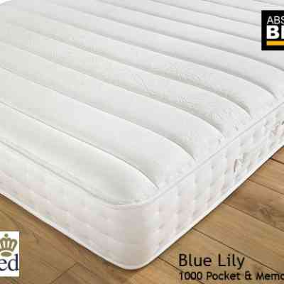 rest assured blue lily 1000 pocket and memory mattress, Rest Assured Blue Lily mattress features Pocket springs with advanced body-moulding memory foam