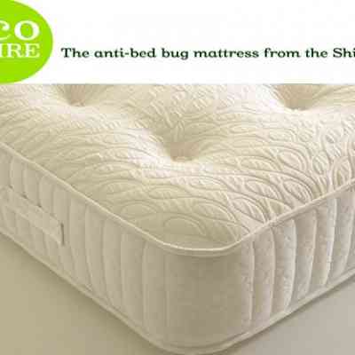 shire beds eco deep 1000 pocket sprung mattress. Absolute beds offers brands new Beds and mattresses to turn your bedroom to sleep sanctuary. shop online spain